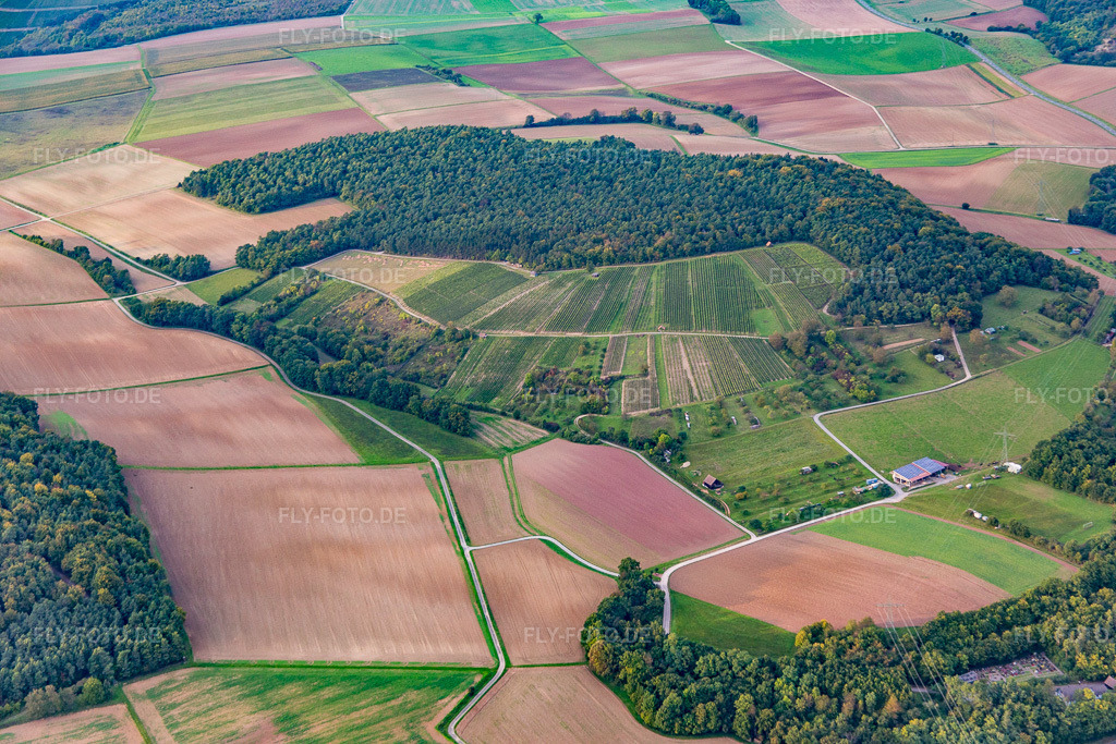 Luftbild: Weinberg im Ortsteil Dertingen in Wertheim im Bundesland Baden-Württemberg in Deutschland. Foto: IMG_073649.jpg vom 26.09.2014 durch Werner Riehm/FLY-FOTO.de