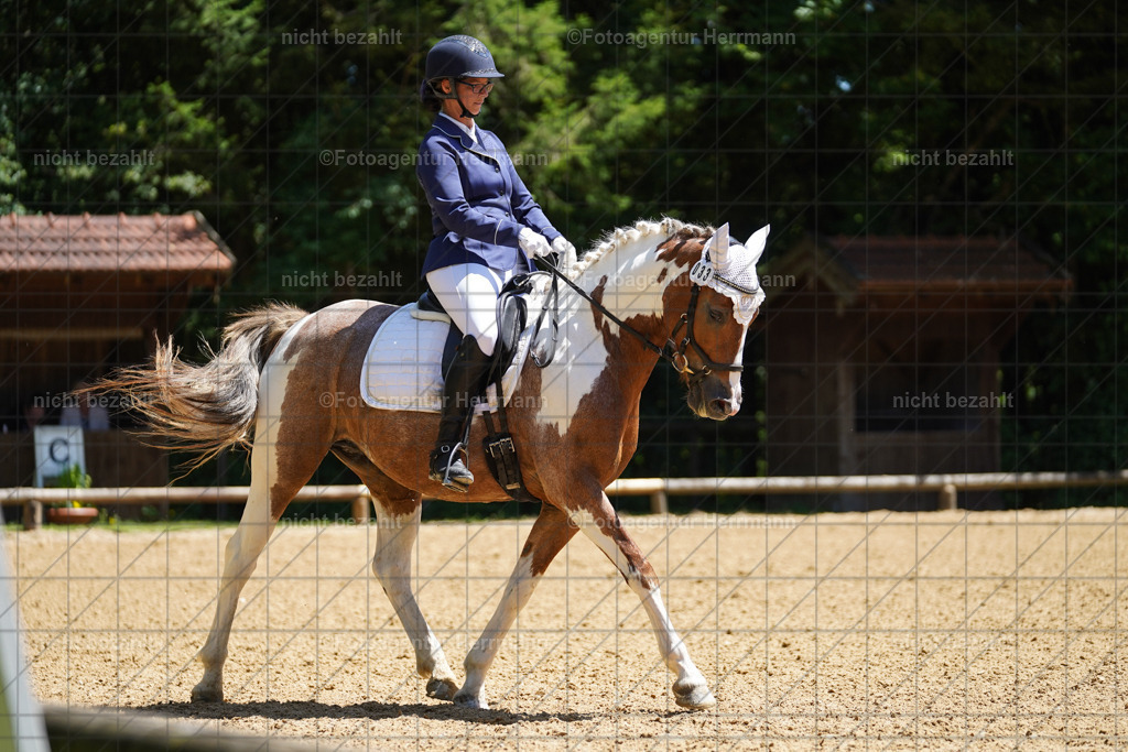 20240705-FAH04184 | Turnierbilder von Grafing, Reitsportbilder, Turnierfotos, Turnierfotografen Bayern, Pferdefotograf, Fotoagentur Herrmann