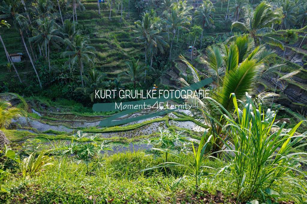 230720-1328 - Kopie | onlinegalerie und Fotoshop Kurt Gruhlke Fotograf Berlin
Hochzeitsfotograf Eventfotograf Portraitfotografie
 - Realisiert mit Pictrs.com