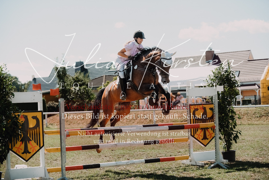 DSC_7189 | Pferde- und Turnierfotografie in Westsachsen. Pferdeportraits, Auftragszeichnungen und intuitive Kunst.