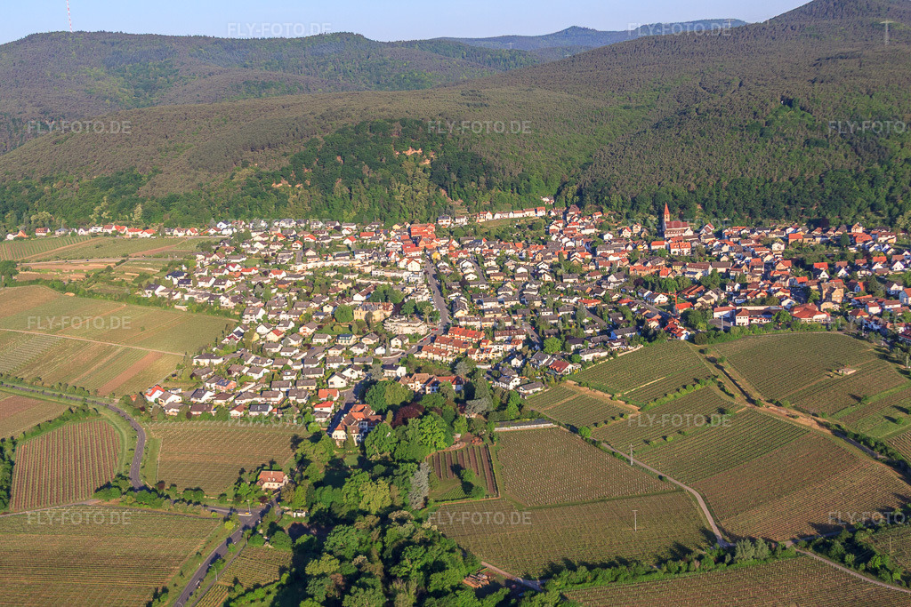 Luftbild: Winzerort von Osten im Ortsteil Königsbach in Neustadt im Bundesland Rheinland-Pfalz in Deutschland. Foto: IMG_64638.jpg vom 04.05.2014 durch Werner Riehm/FLY-FOTO.deAuflösung des Originals: 4752 x 3168 px