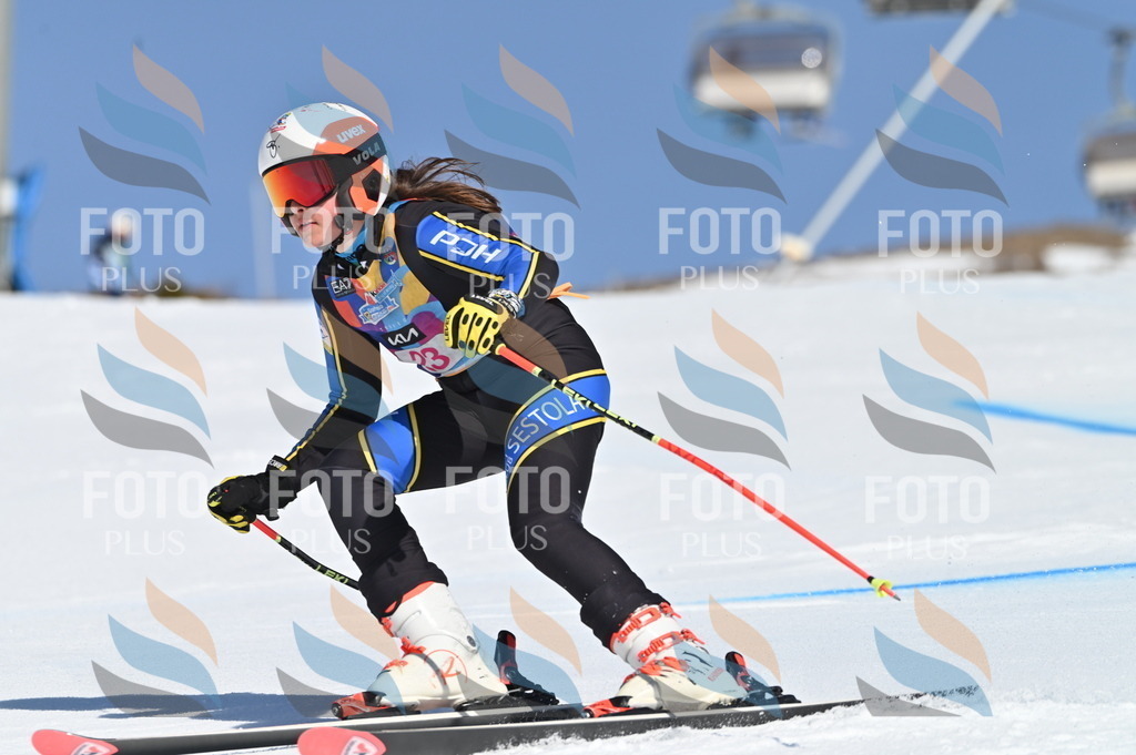 BGV_8011 | holidayphoto