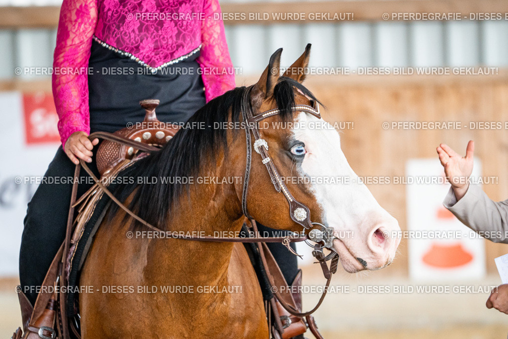 DSC08369 | Pferdegrafie