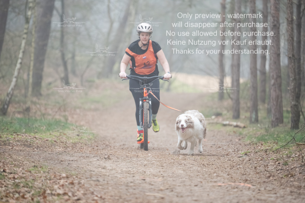 Scooter1-162 | stephaniefillaphotographie - Realisiert mit Pictrs.com