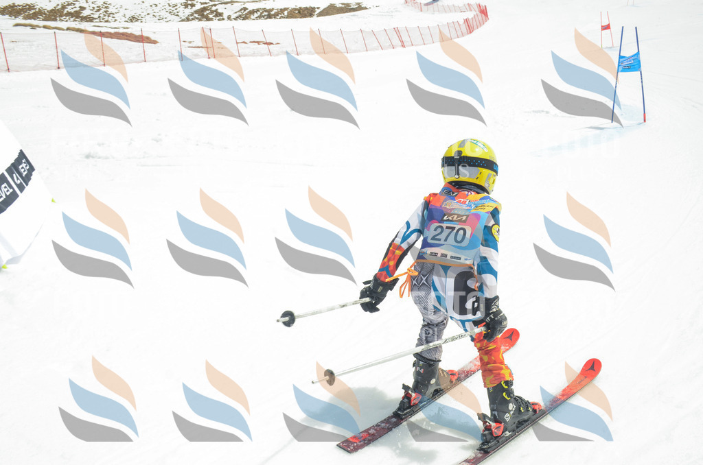 _ELE7792 | holidayphoto