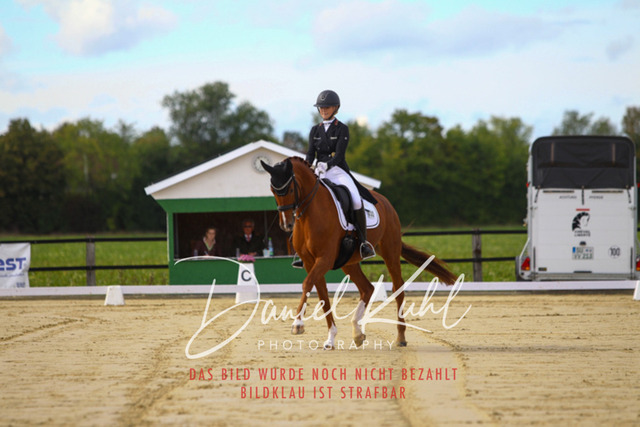 DKP44372 | Turniersportfotografie; Pferdefotografie; Dressurfotografie