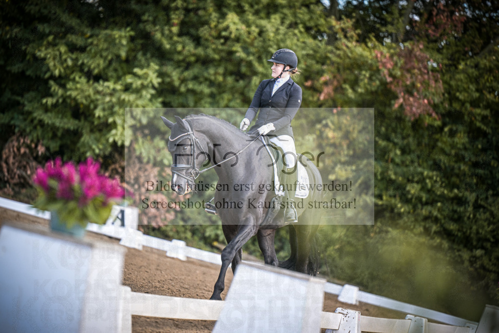 DOS_3622 | Entdecke hochwertige Reitturnierfotos von Foto Oger. Professionell, emotional und authentisch – jetzt Lieblingsmomente im Shop bestellen.Deutschlandweite Turnierfotografie. - Realisiert mit Pictrs.com