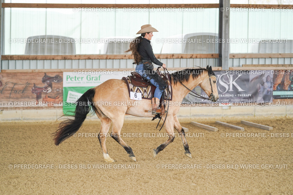 DSC02516 | Pferdegrafie