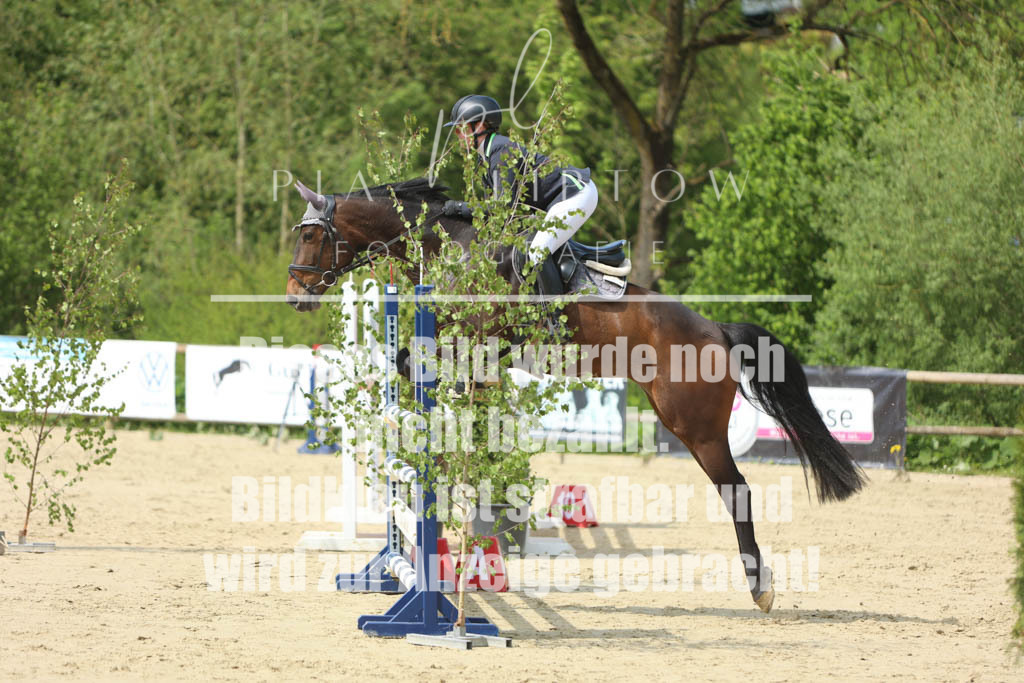 IMGM5732 | pl-fotografie