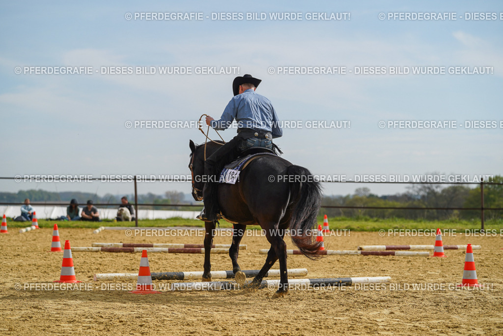 DSC02043 | Pferdegrafie