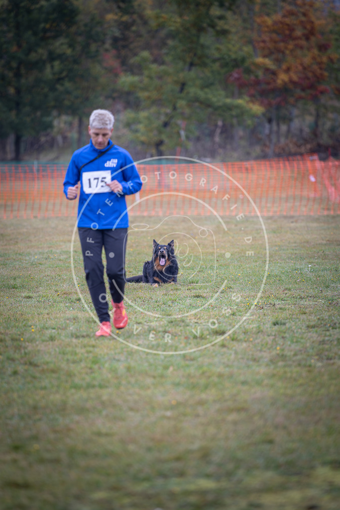 Pfotenfotografie_DV3A9352 | Hundefotografie, Tierfotograf, Pfotenfotografie, Fotoshooting Hund, Hunde Portrait, Hundesport, Hundeportraits, Heideshooting, Hunde, Sportfotograf, Hundefotograf, Turnierhundsport, THS,  - Realisiert mit Pictrs.com