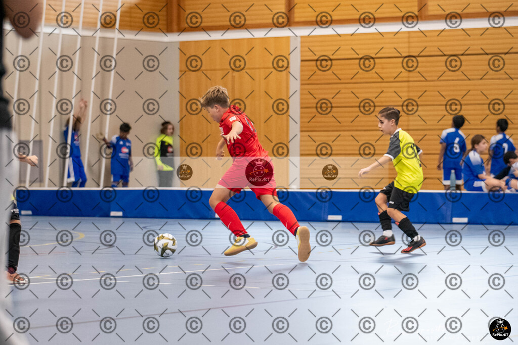 20241123_unbenannt_008 | Sport und Naturfotografie von Roberto Esposito zeigt echte Momente Bewegung und die Schönheit der Natur. Ausdrucksstarke Bilder schaffen Emotionen.