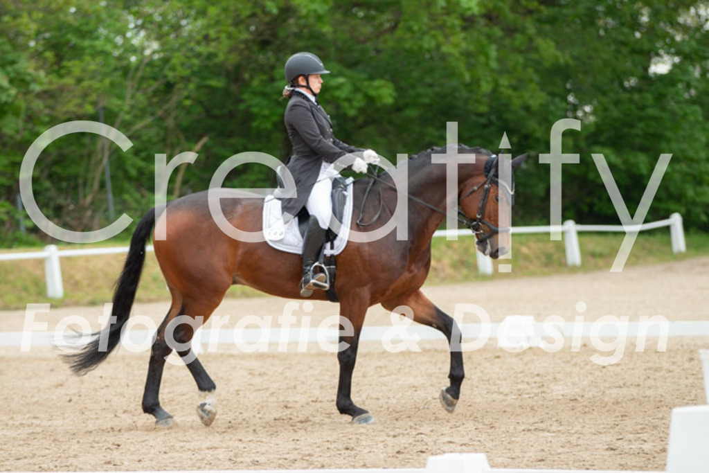 IMG_9803 | Creatify Fotografie