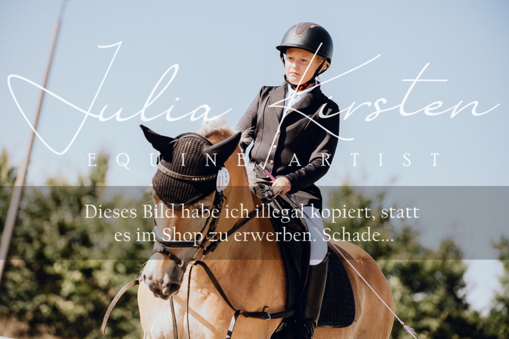 DSC_7030 | Pferde- und Turnierfotografie in Westsachsen. Pferdeportraits, Auftragszeichnungen und intuitive Kunst.