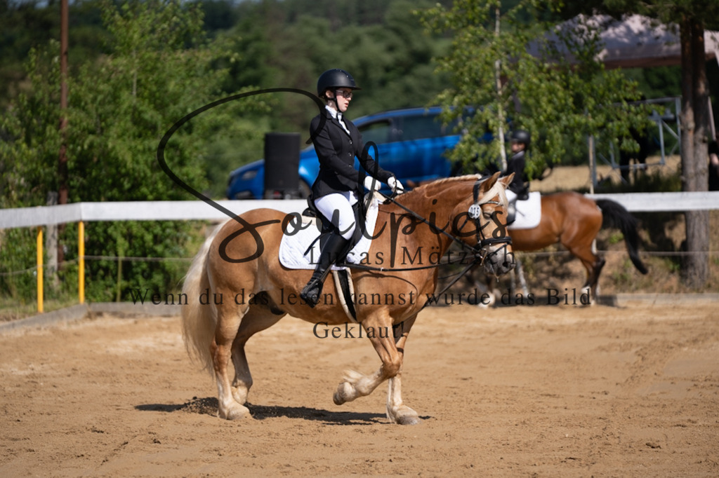 A7V07776 | Turnier/Reitfotograf