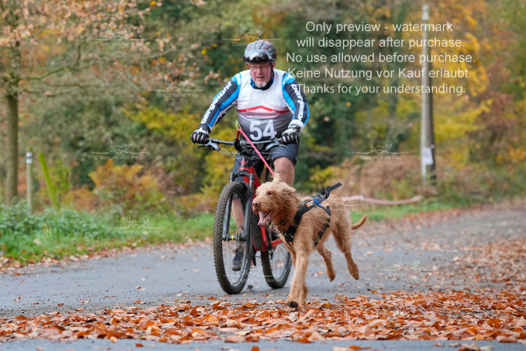 Bike_So-167 | stephaniefillaphotographie - Realisiert mit Pictrs.com