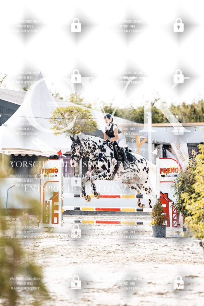 CK905966 | Turnierfotografie Pferdefotografie Trier Rheinland-Pfalz Pferdesport Reitsport Tierfotografie Sportfotografie Pferdevideo Pferdevideografie Equestrianvideography equestrianphotography  - Realisiert mit Pictrs.com