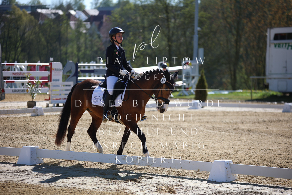 IMGT0112 | pl-fotografie