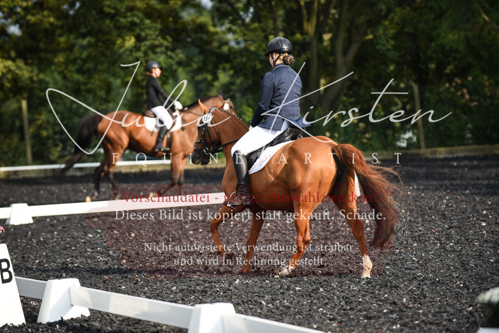 DSC_3435 | Pferde- und Turnierfotografie in Westsachsen. Pferdeportraits, Auftragszeichnungen und intuitive Kunst.