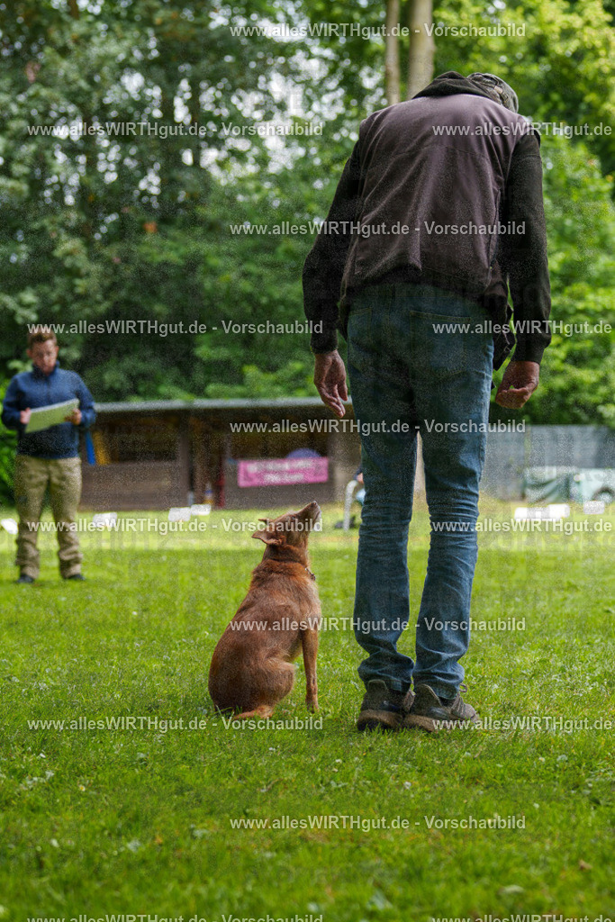 @allesWIRTHgut_Tierfotografie - www.allesWIRTHgut.de - 121612-7R508764 | Professionelle Tierfotografie in Mönchengladbach von Daniel Wirth (allesWIRTHgut). Liebevolle & natürliche Bilder von Hunden & Katzen für unvergessliche Erinnerungen.