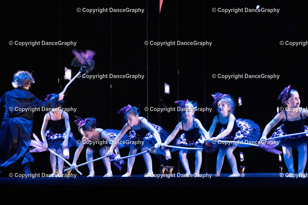 GPHY6276 | DanceGraphy - Realisiert mit Pictrs.com