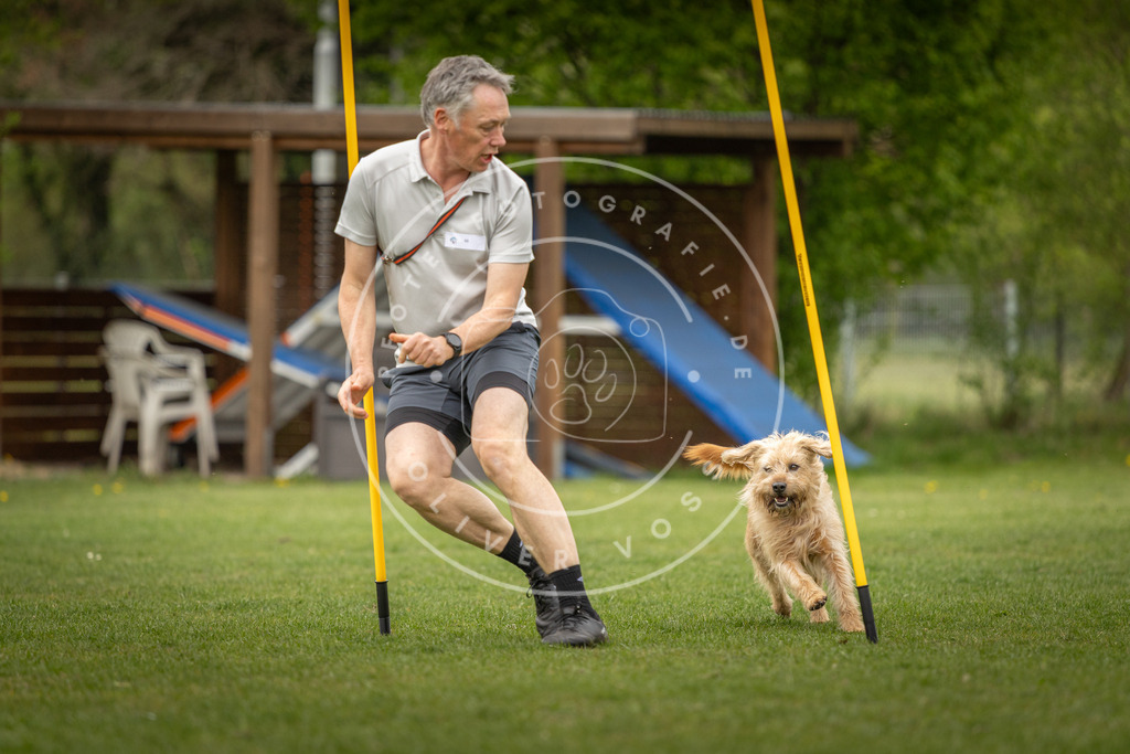 Pfotenfotografie_DV3A1984 | Hundefotografie, Tierfotograf, Pfotenfotografie, Fotoshooting Hund, Hunde Portrait, Hundesport, Hundeportraits, Heideshooting, Hunde, Sportfotograf, Hundefotograf, Turnierhundsport, THS,  - Realisiert mit Pictrs.com