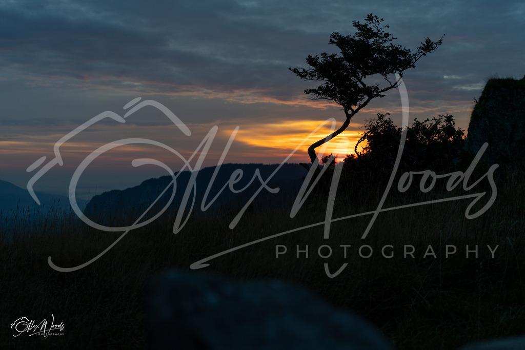 20240922_071958_SA7CR198_AlexWoods_FullSize | Alex Woods Photography