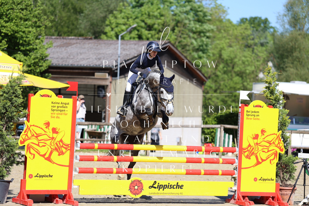 IMGS6877 | pl-fotografie