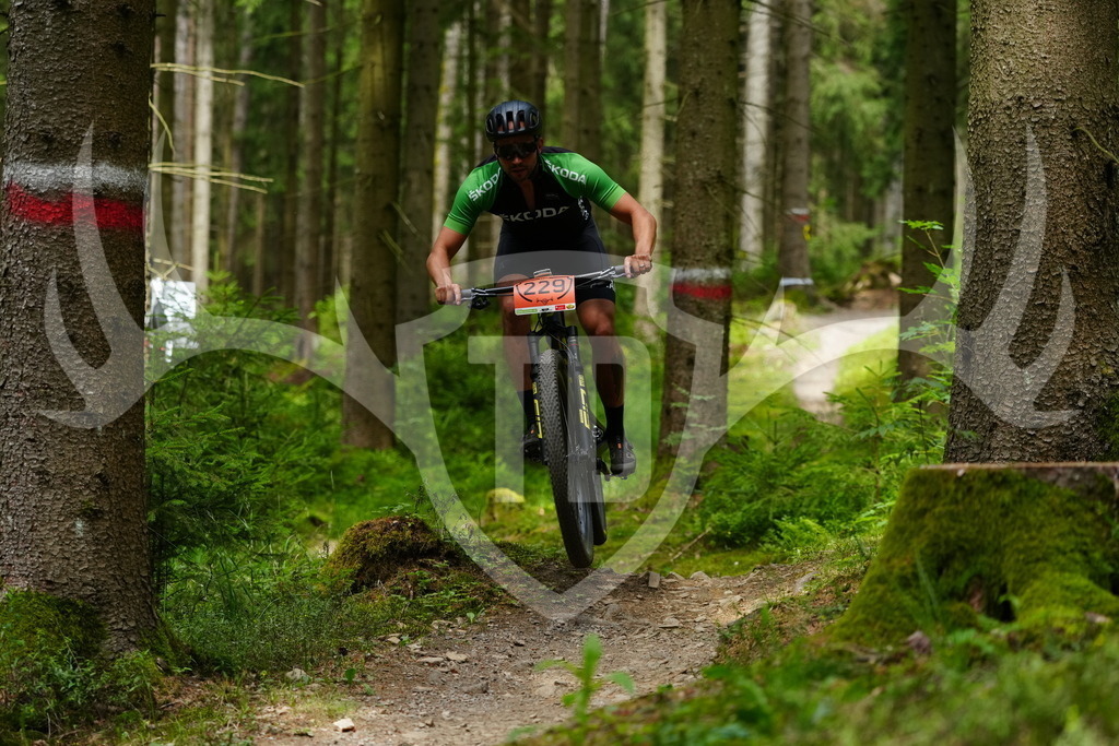 FC100405 | Fotogalerie der Treibjagd im Dunkelwald - Dein MTB Etappenrennen im Erzgebirge - Realisiert mit Pictrs.com