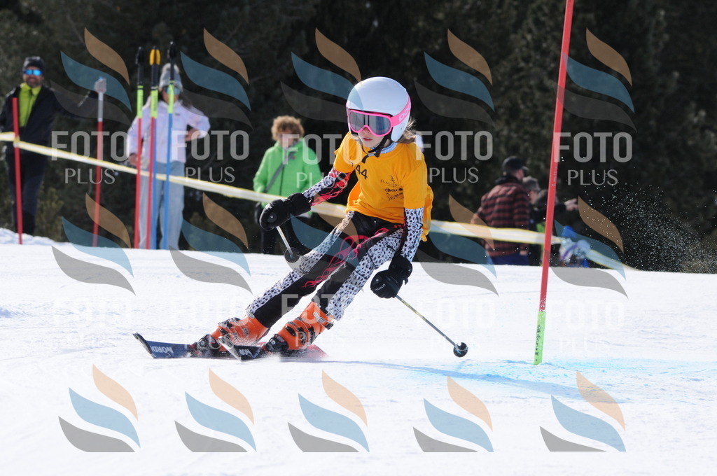 C7269 | holidayphoto