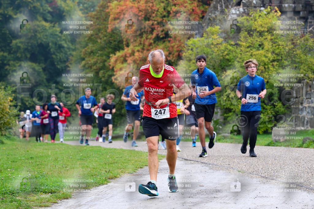 R6_ (335) | la-psv - Realisiert mit Pictrs.com