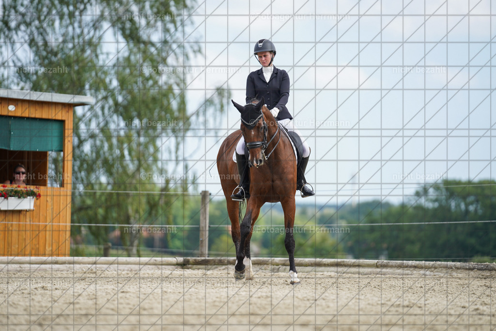 20230826-FAH06195 | Forstinning, 2023, Dressurturnier, Turniersportbilder, Turnierfotografen Bayern, Fotoagentur Herrmann, Reitsportfotografie, Turnierbilder