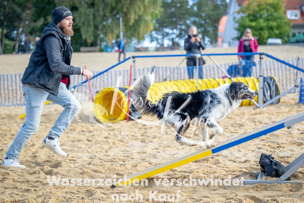 0958_ZZ93261 | kk-dogfotos