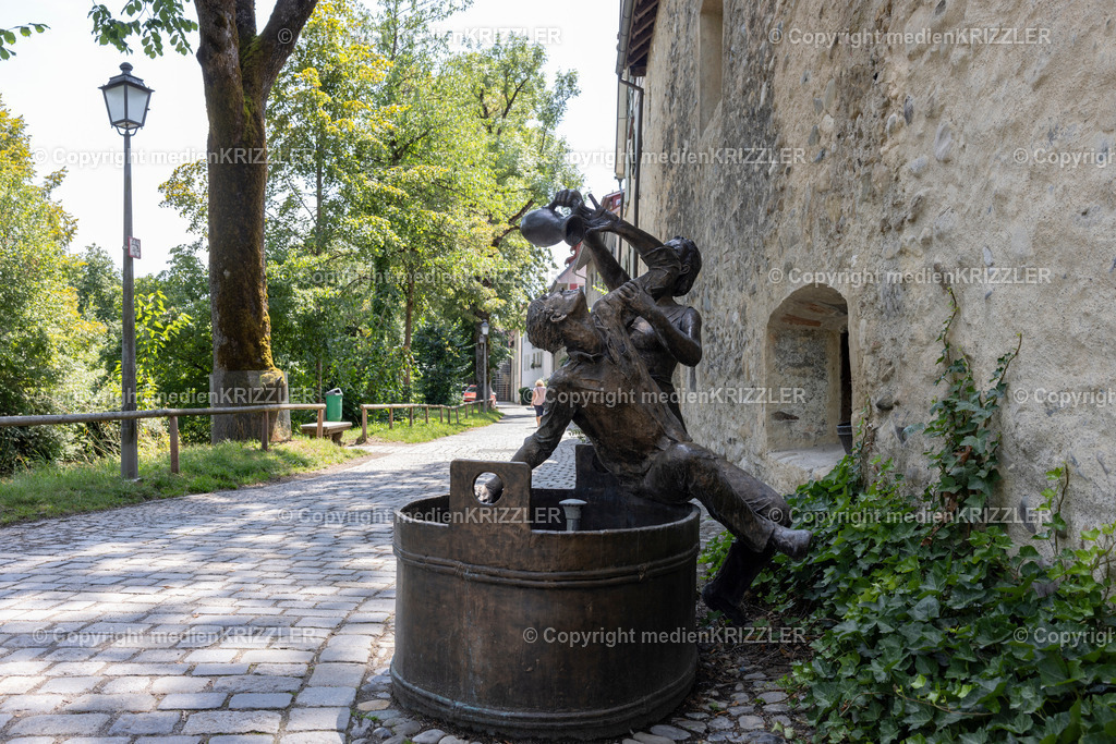 Wangen | medienkrizzler - Realisiert mit Pictrs.com
