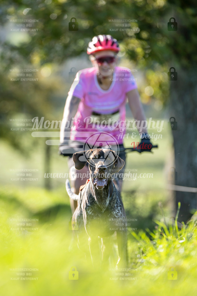 MompixPhotography_20TSB_E3_DS1-17 | PayLife