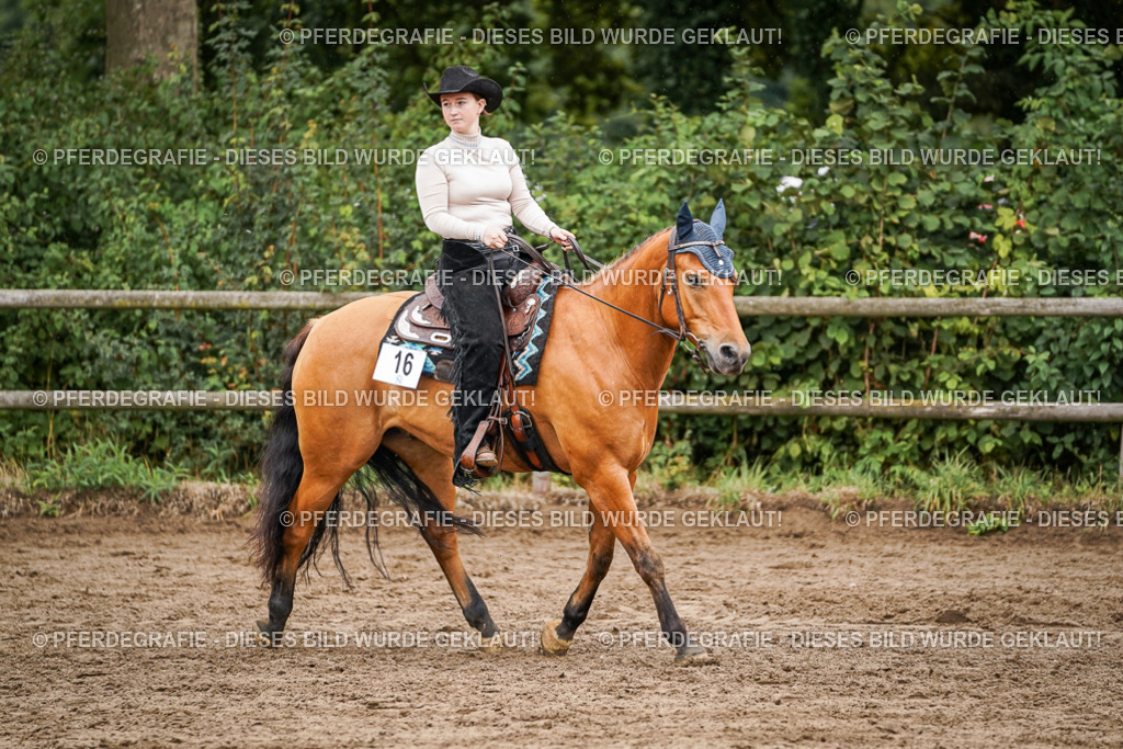 DSC04884 | Pferdegrafie