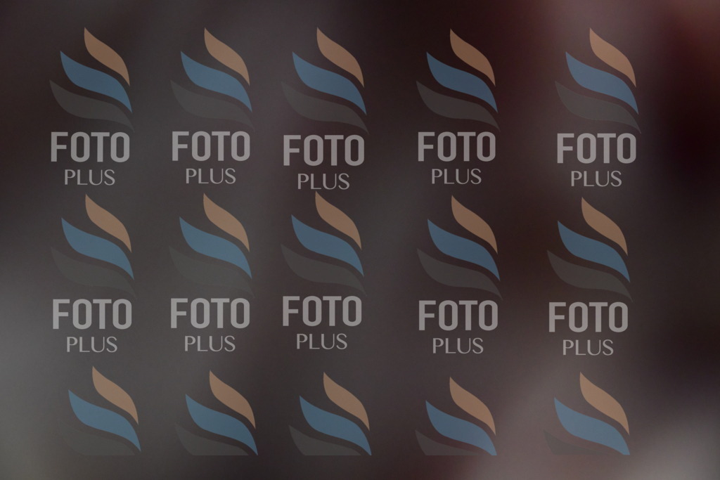 _DSC3819 | holidayphoto