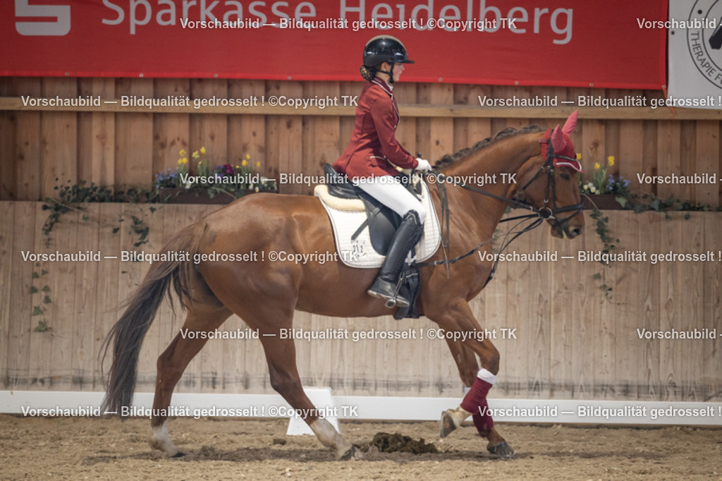 _D5A5567 | Emotionale Pferde- & People-Fotografie rund um Heidelberg, Leimen & Umgebung. Natürliche Fotos von Pferd, Mensch & Familie. Jetzt Termin sichern!