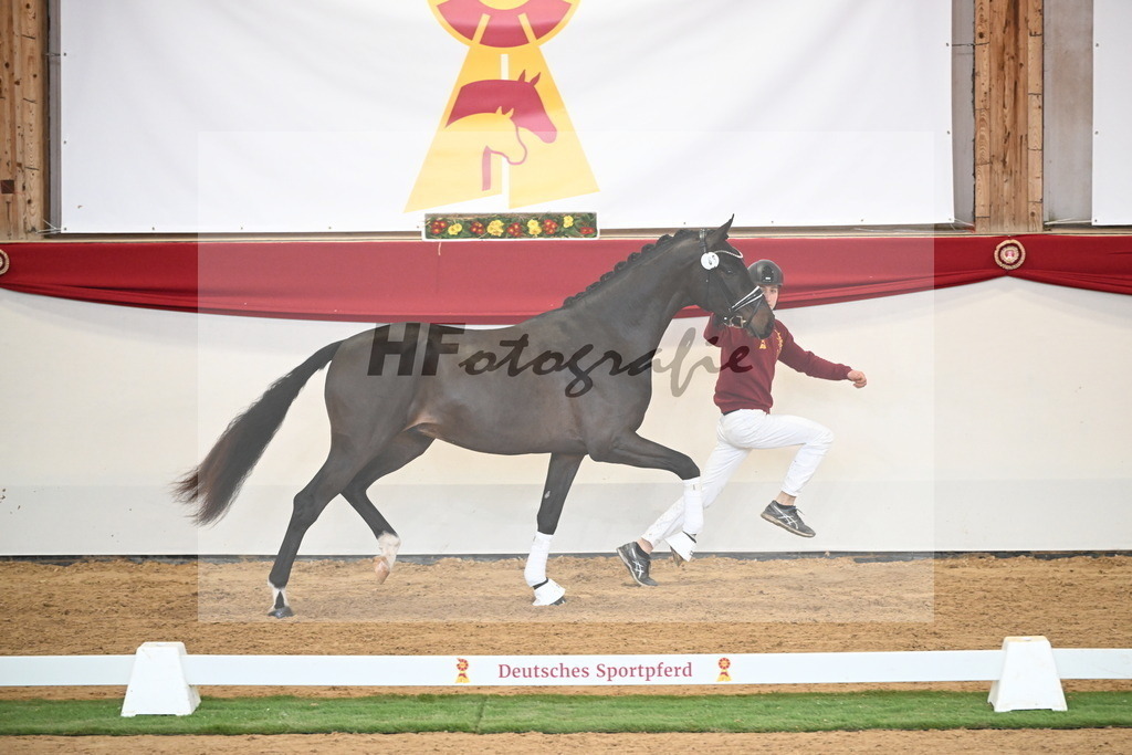Kat.-Nr. 66 v. Fürstenball_Höchsmann_2250460 | hf-fotografie - Realisiert mit Pictrs.com