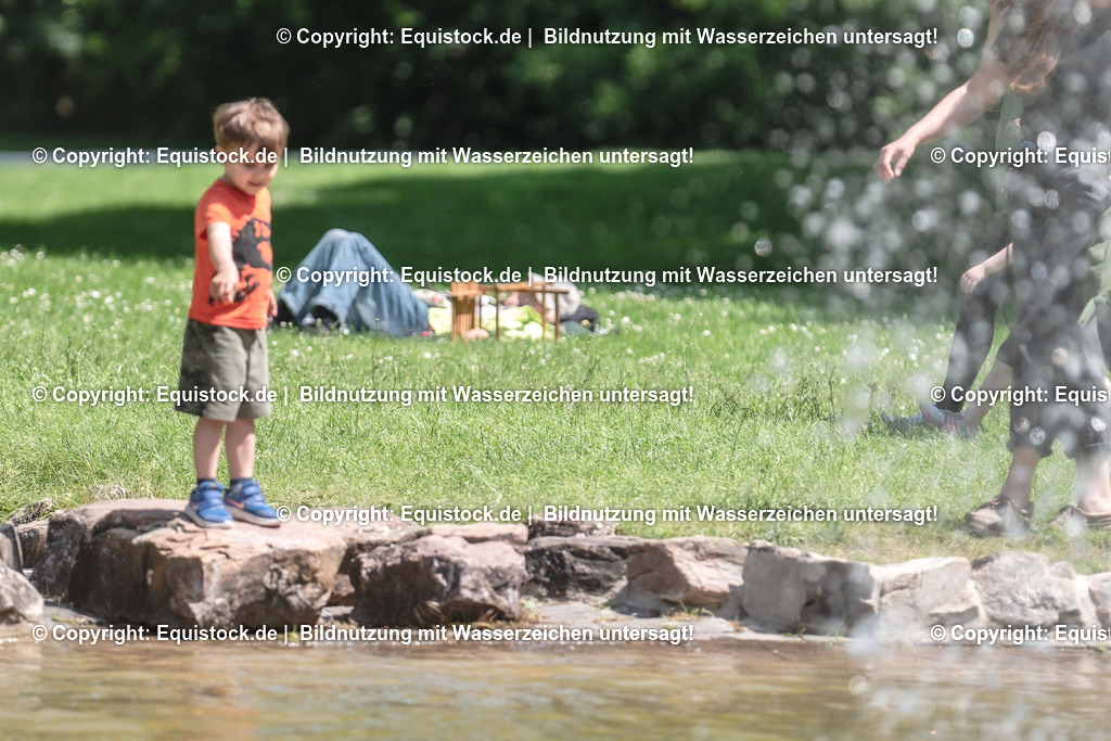 DSC_0199 | equistock