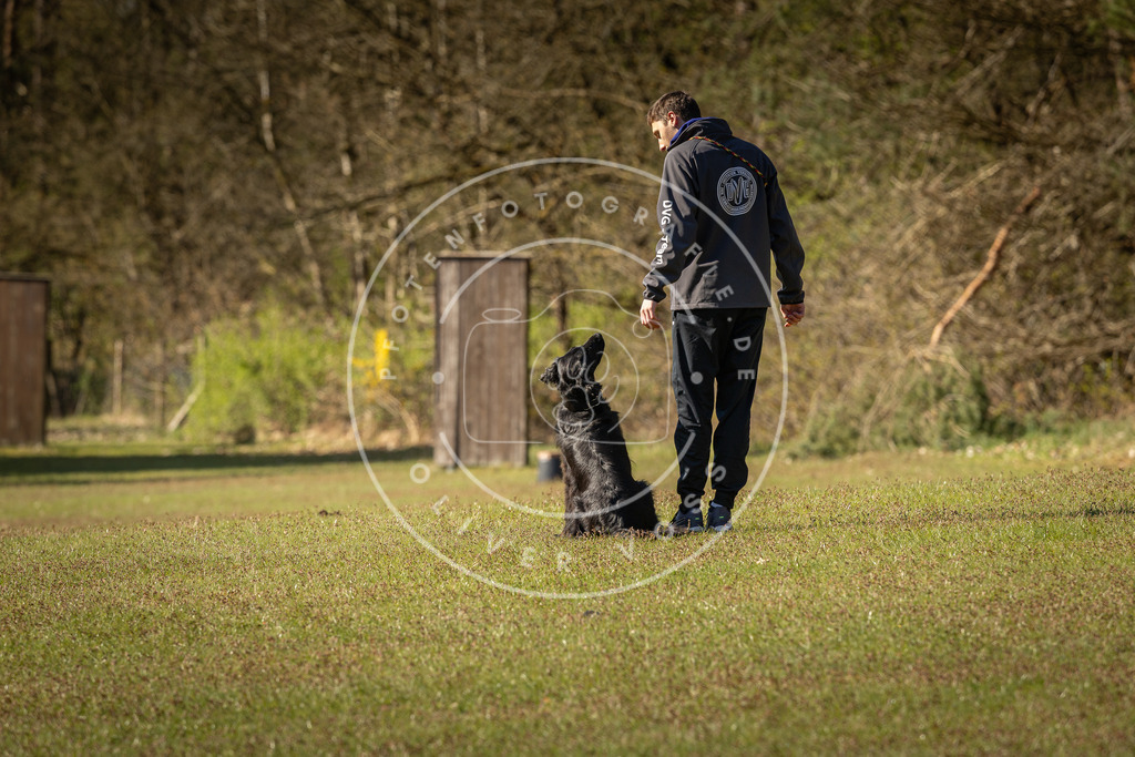 Pfotenfotografie_DV3A0168 | Hundefotografie, Tierfotograf, Pfotenfotografie, Fotoshooting Hund, Hunde Portrait, Hundesport, Hundeportraits, Heideshooting, Hunde, Sportfotograf, Hundefotograf, Turnierhundsport, THS,  - Realisiert mit Pictrs.com