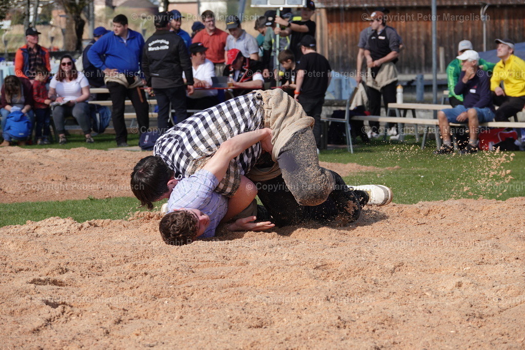DSC02272 | Schwingen - Realisiert mit Pictrs.com
