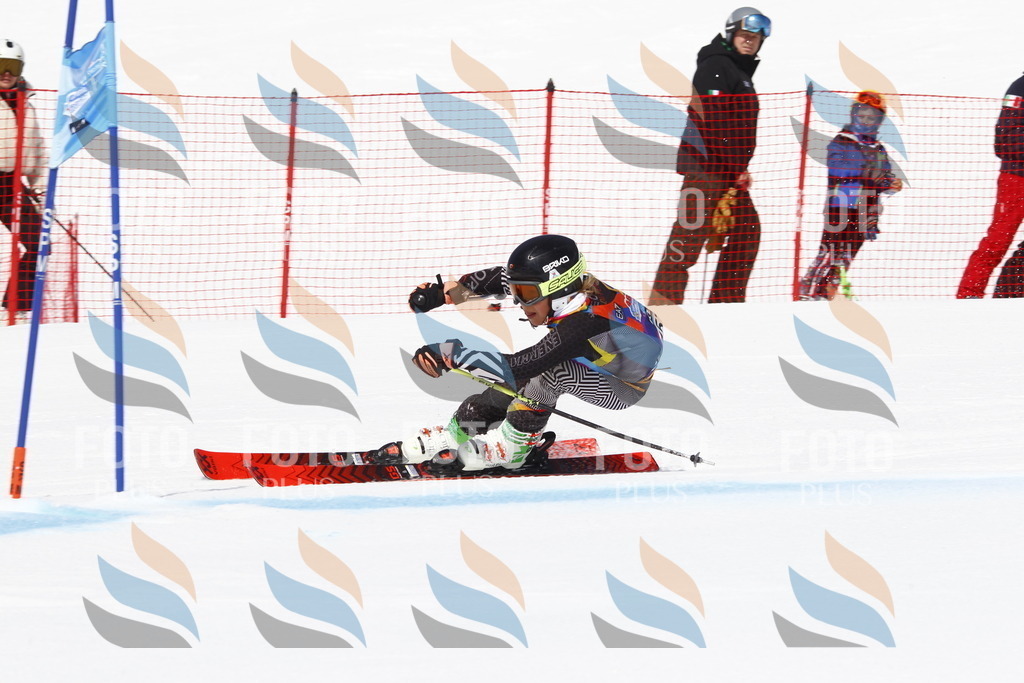 _U3G4254 | holidayphoto