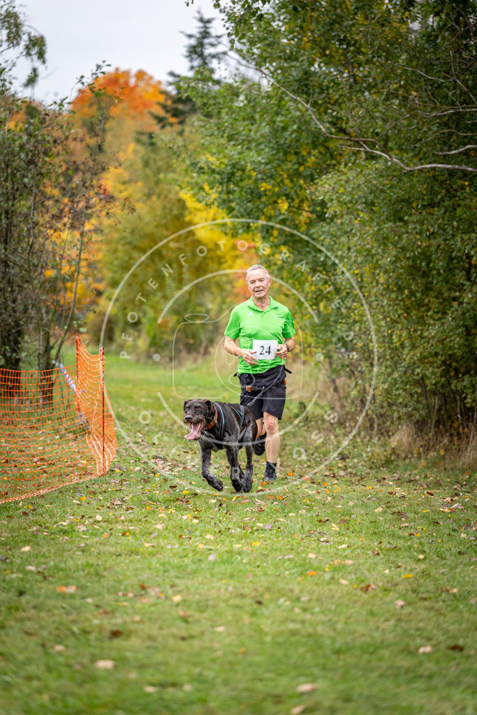 Pfotenfotografie_DV3A2012 | Hundefotografie, Tierfotograf, Pfotenfotografie, Fotoshooting Hund, Hunde Portrait, Hundesport, Hundeportraits, Heideshooting, Hunde, Sportfotograf, Hundefotograf, Turnierhundsport, THS,  - Realisiert mit Pictrs.com