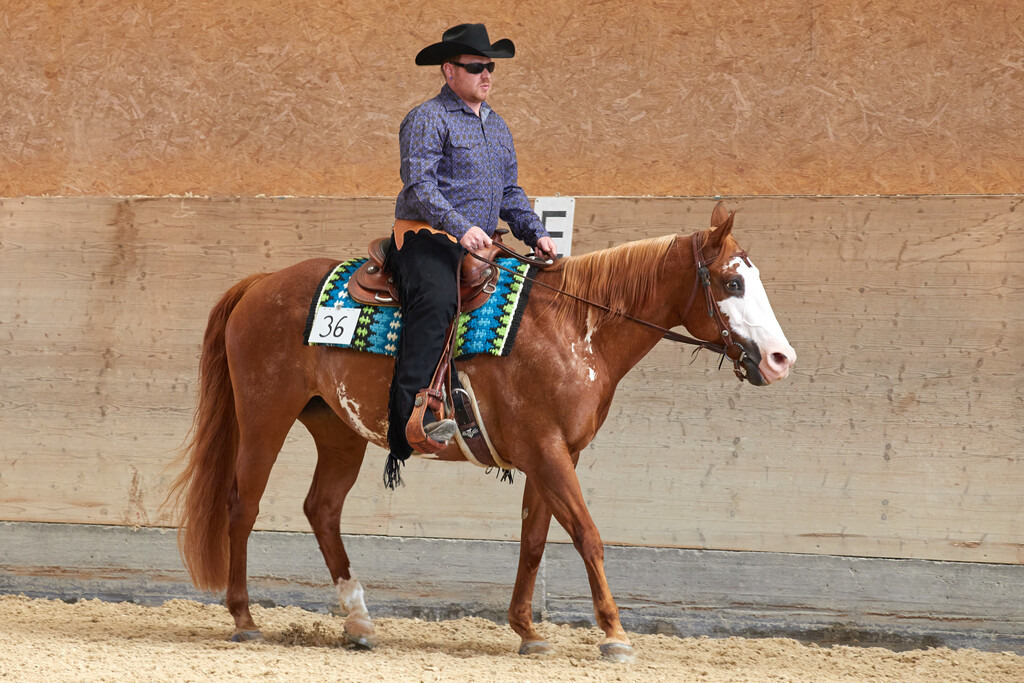 2020_07_19 Schweizersbild 065 | Peter Fridle Fotografie - Realisiert mit Pictrs.com