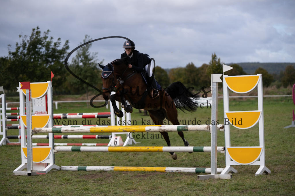 A7V06709 | Pferdefotograf