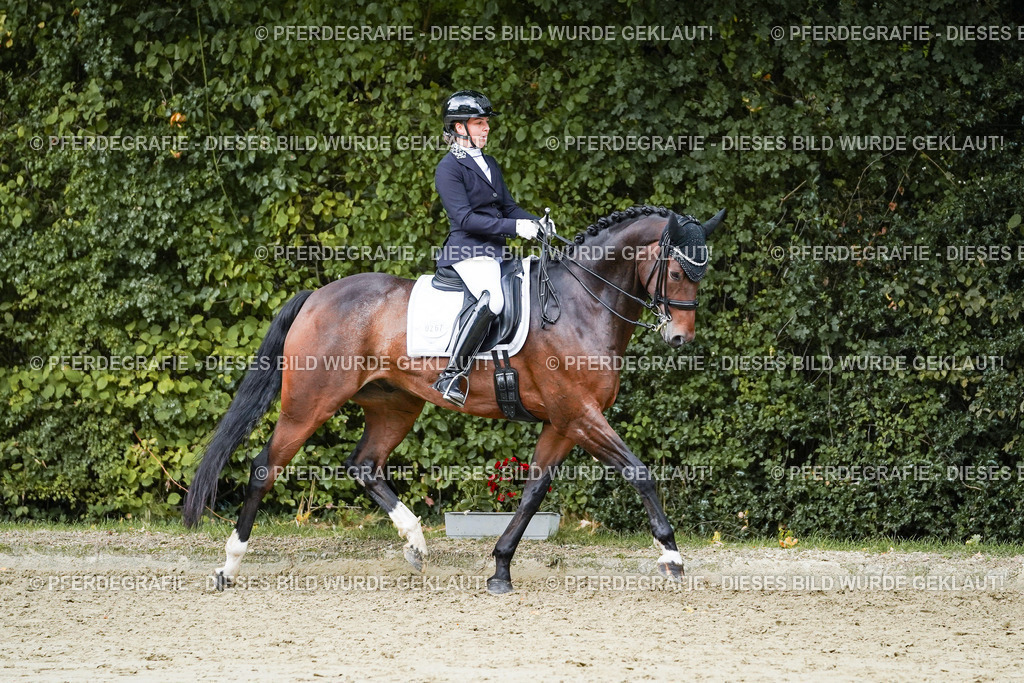 DSC06404 | Pferdegrafie