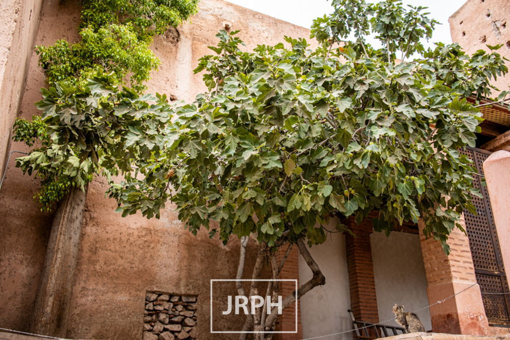 IMG_8014 | jrph - Realisiert mit Pictrs.com