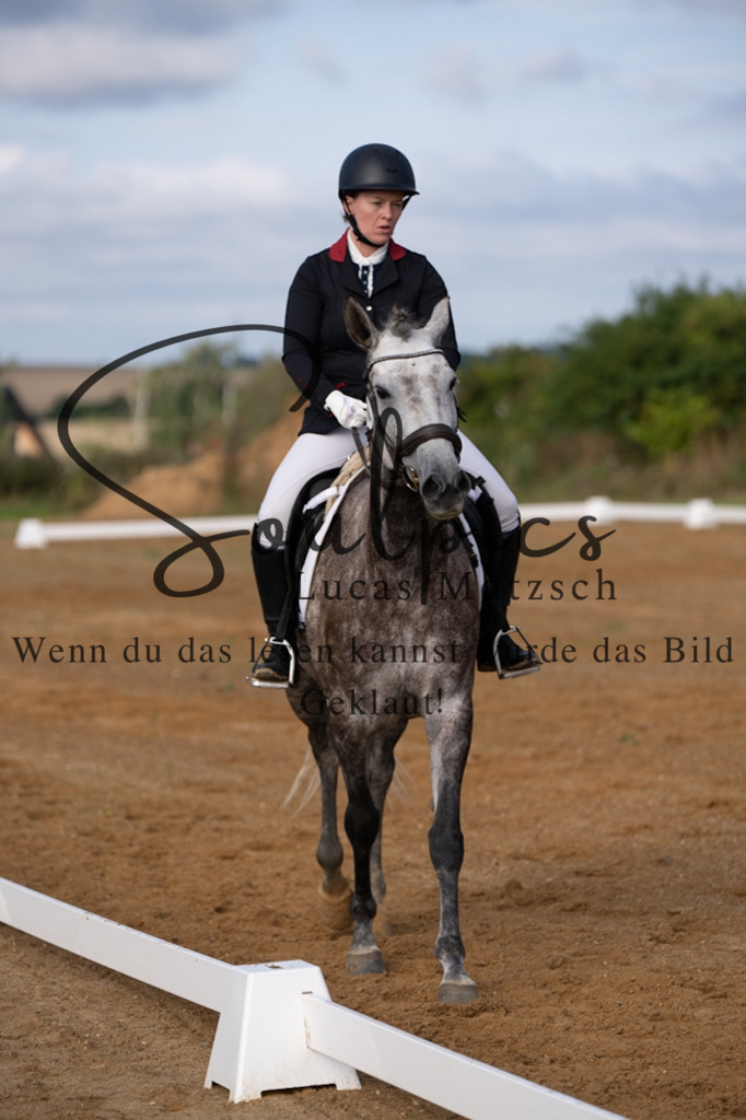 A7V03740 | Turnier/Reitfotograf