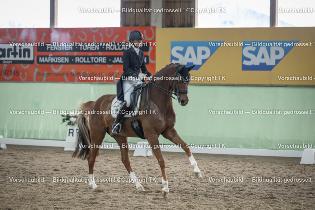 _D5A6460 | Emotionale Pferde- & People-Fotografie rund um Heidelberg, Leimen & Umgebung. Natürliche Fotos von Pferd, Mensch & Familie. Jetzt Termin sichern!